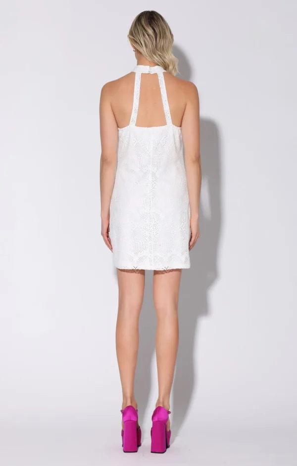 Walter Baker Emilia Dress, Marquee Lace>Women Dresses