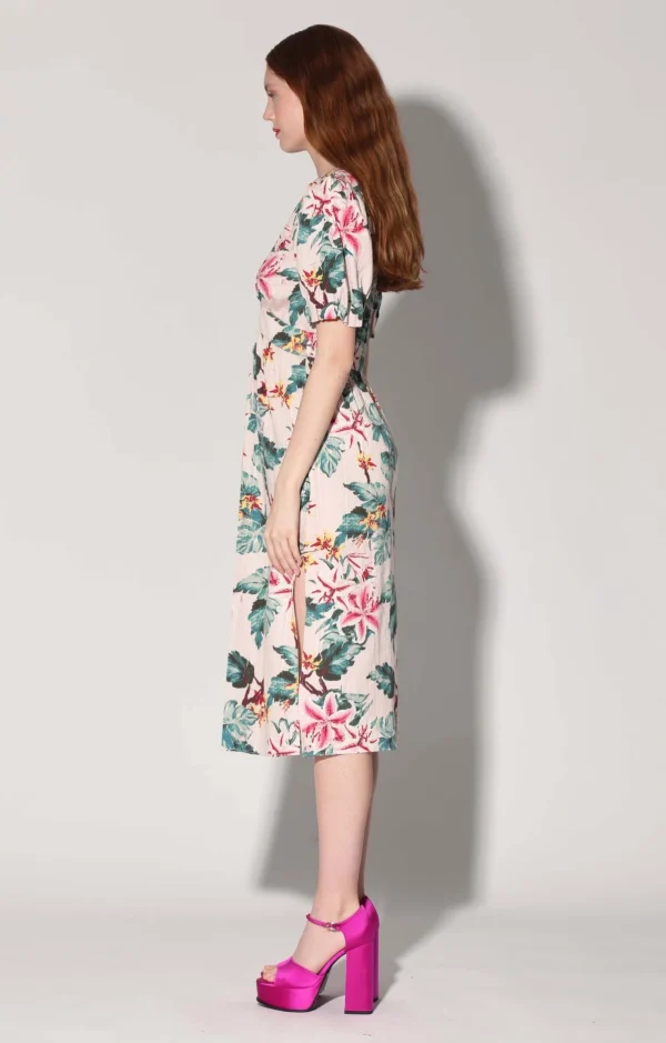 Walter Baker Fabienne Dress, Blush Azalea>Women Dresses