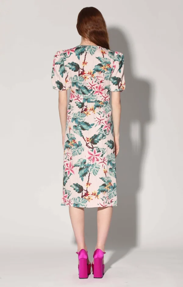 Walter Baker Fabienne Dress, Blush Azalea>Women Dresses