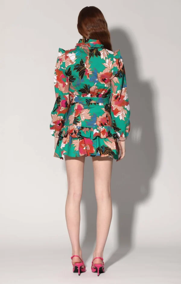 Walter Baker Ginette Dress, Las Olas>Women Dresses