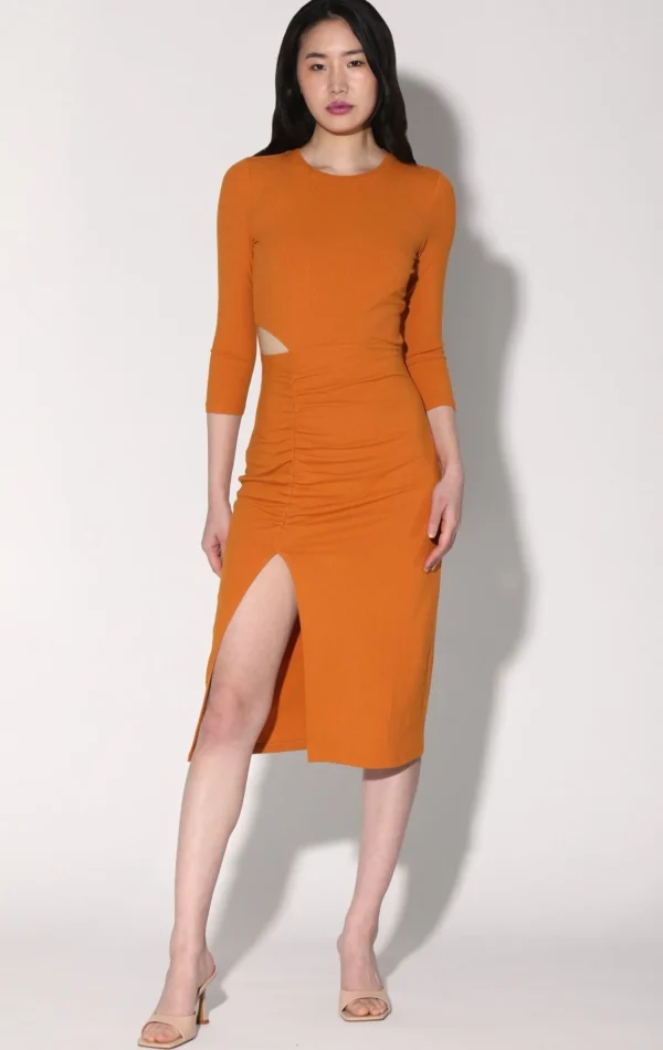 Walter Baker Kalani Dress, Rust>Women Dresses