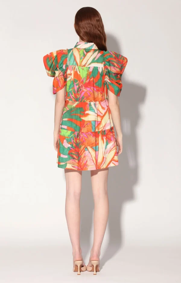 Walter Baker Loreene Dress, Morning Glory>Women Dresses