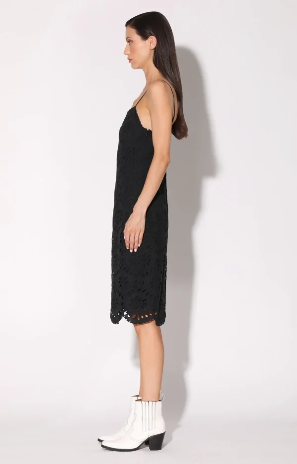 Walter Baker Madena Dress, Salsa Eyelet>Women Dresses