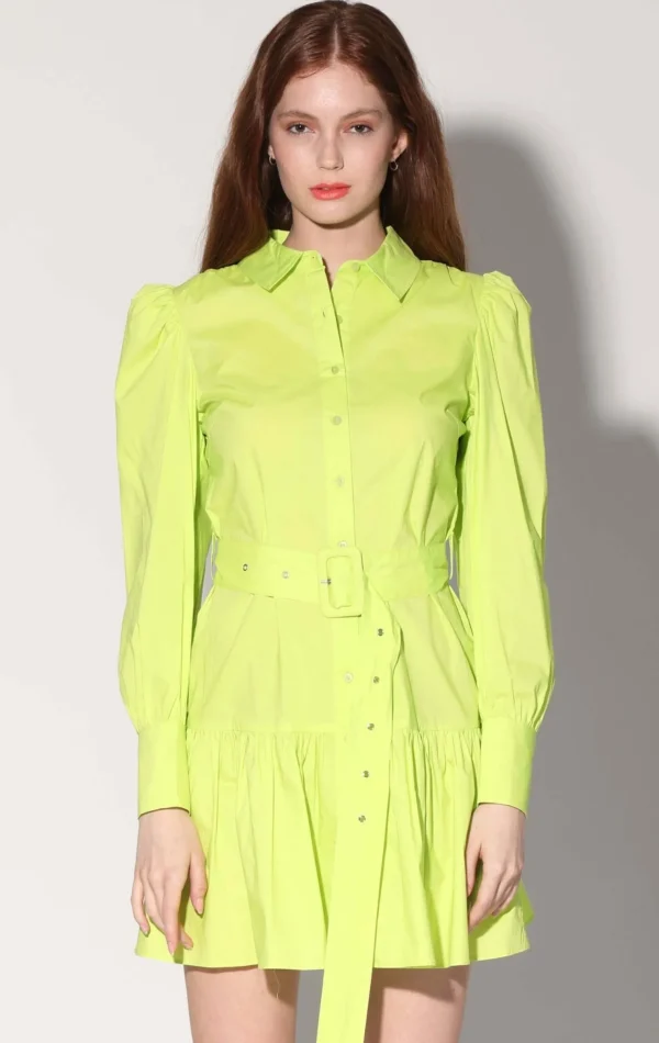 Walter Baker Tara Dress, Citron>Women Dresses