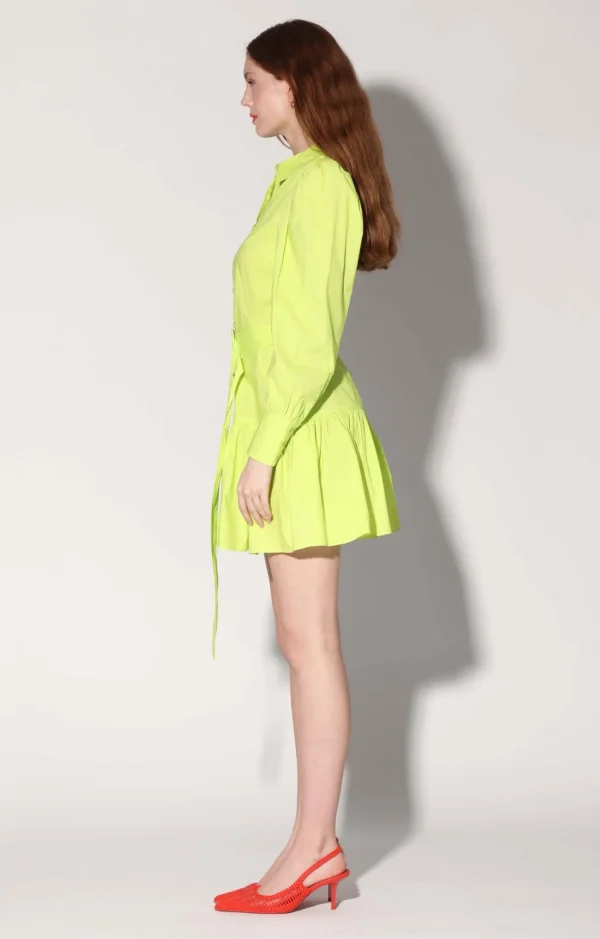Walter Baker Tara Dress, Citron>Women Dresses